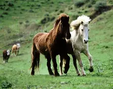 马静特伦特切斯特队锋线火力全开,目光短视夺冠渐行渐近 马静特伦特切斯特队锋线火力全开,目光短视夺冠渐行渐近