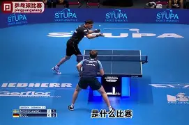 熊猫直播官网-波兰乒乓球队翻盘法国乒乓球队,波尔三分雨点燃全场
