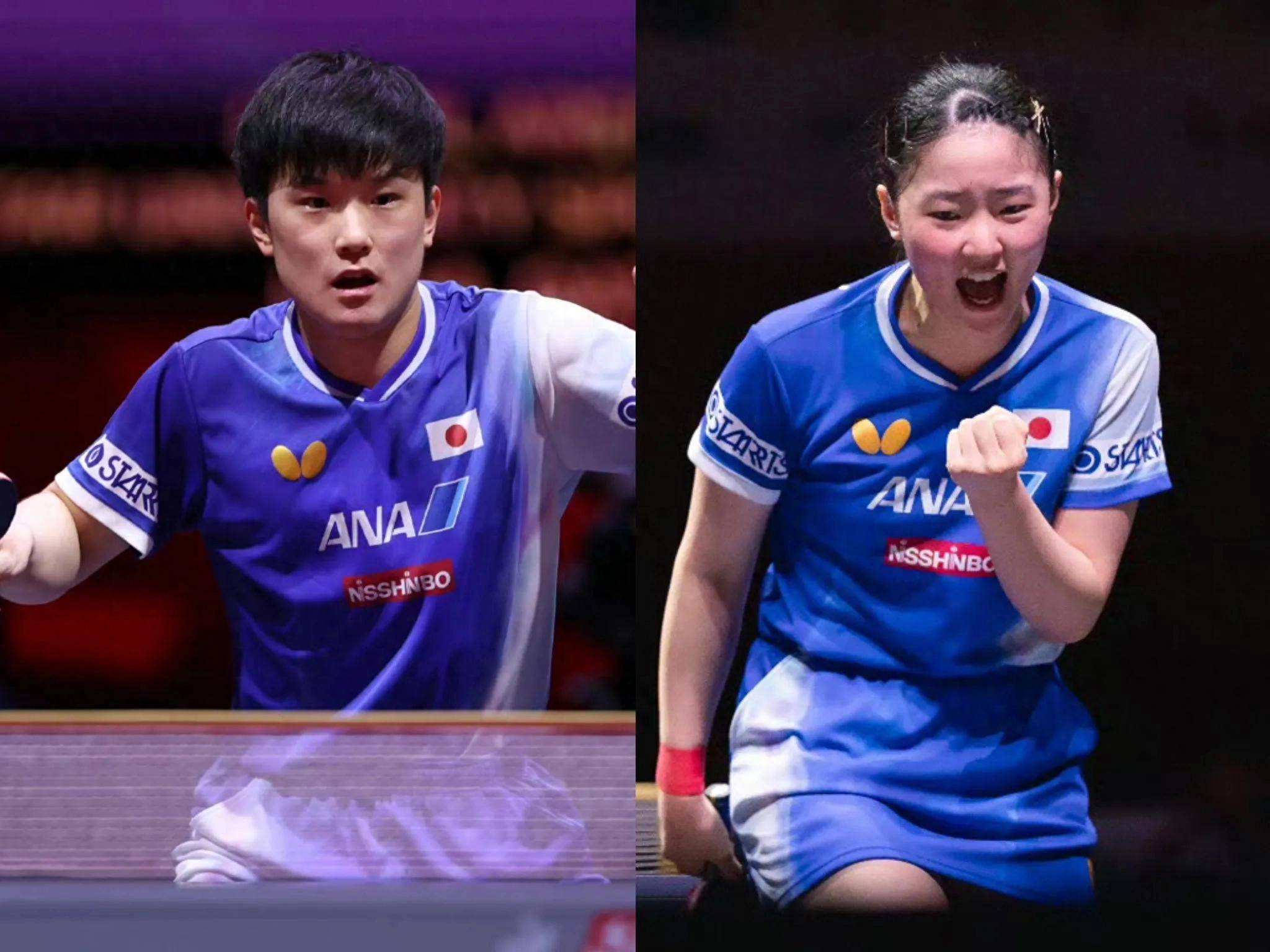 熊猫直播平台-日本队险胜韩国队，张本智和点燃赛场的简单介绍